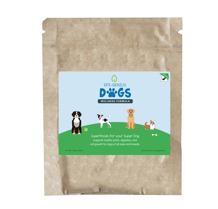 Best dog clearance food for epi